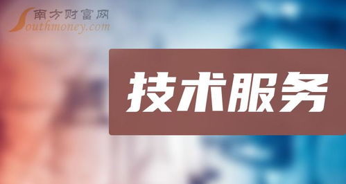2024年技術(shù)服務(wù)概念上市公司大盤點(diǎn)